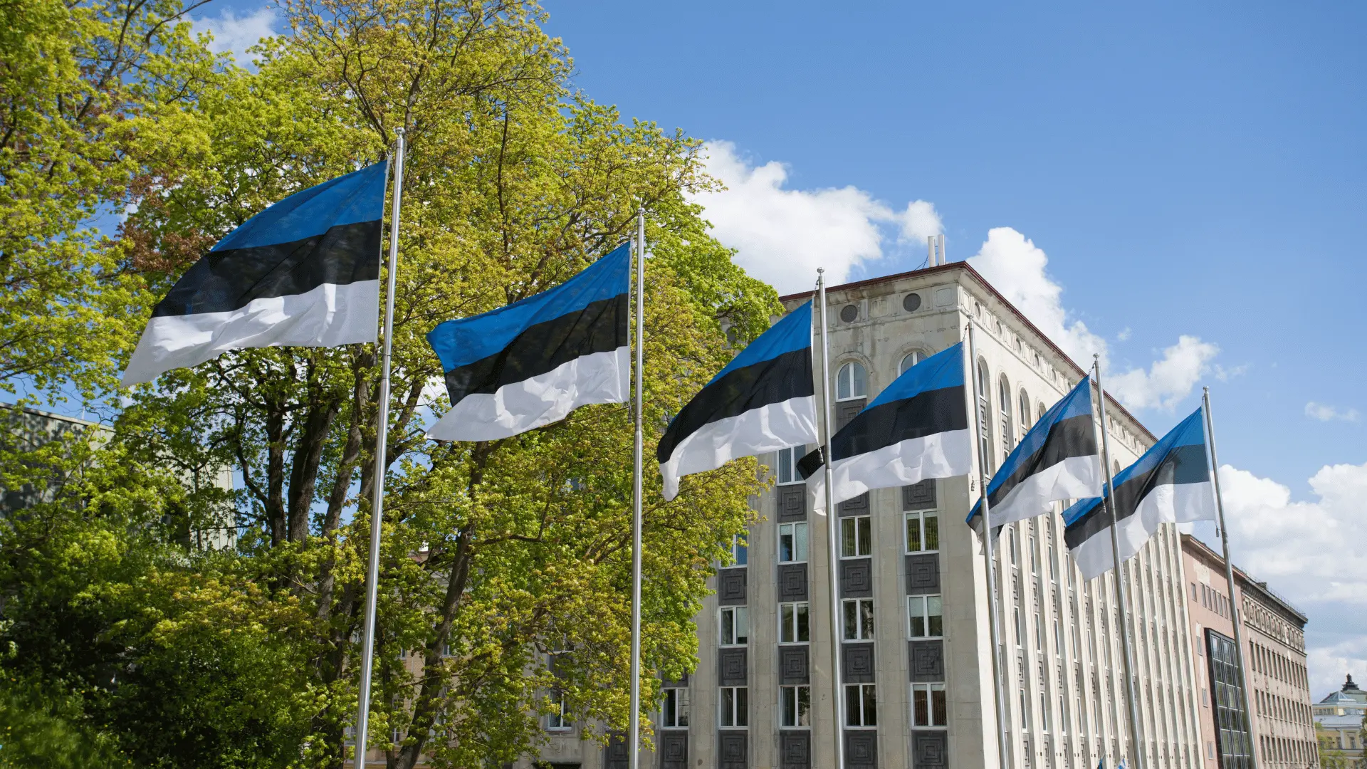 estonia winiety
